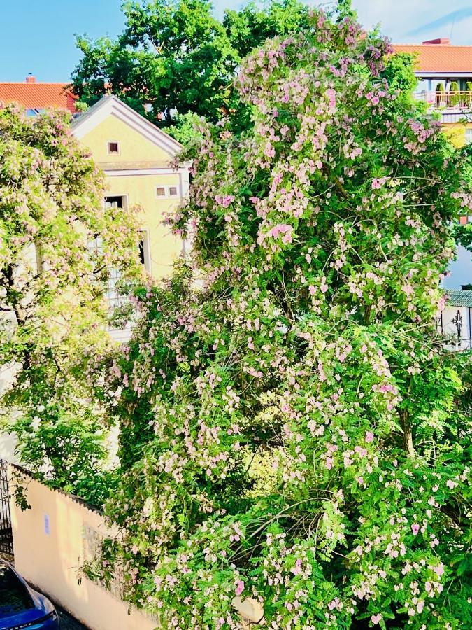 Super Apartment Old Town ไคลเพดา ภายนอก รูปภาพ